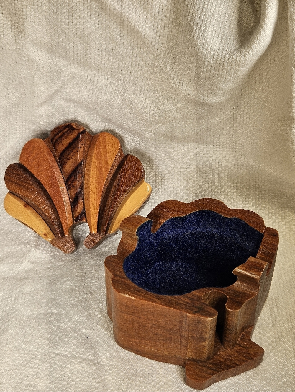 Handcrafted Wooden Shell Trinket Box with Velvet Lining - Brown & Navy